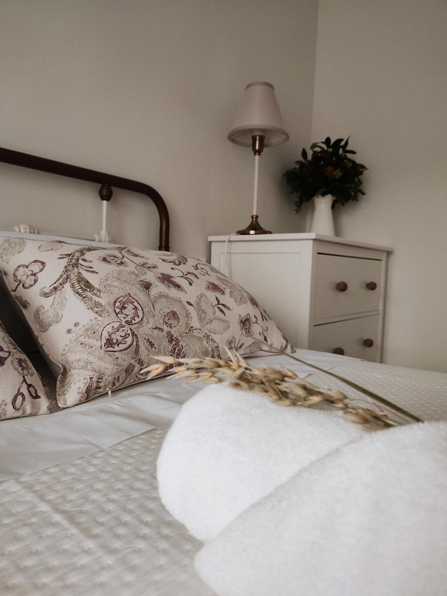 Rusinol Apartment Consuegra